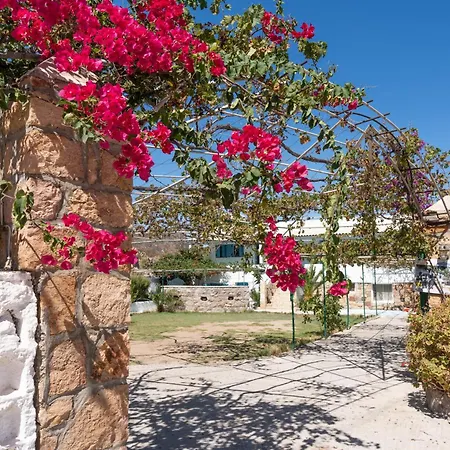 Beachfront Lampis Dolphin 1